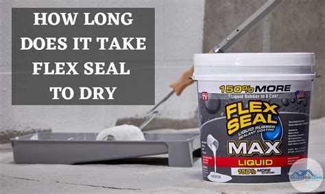 how long does it take for flex seal spray to dry, and what factors influence its curing process?